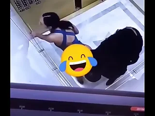 Out of bounds elevator sex